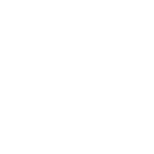 Roadmapping